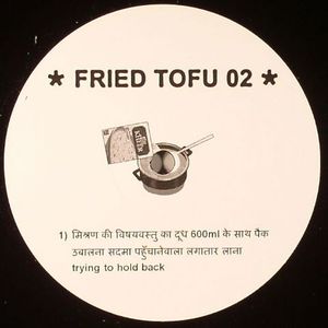 Fried Tofu 02
