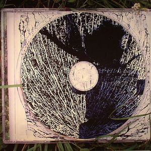 This is Folk Music Vol 4