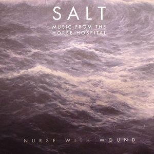 Salt: Music From The Horse