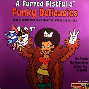 A Furred Fistful O Funky Delicacies: Rare & Unreleased Jams From The Golden Age Of Funk