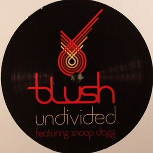 Undivided (club remixes)