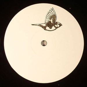 AVN #002