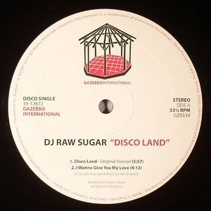 Disco Land