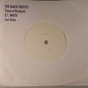 Theme Of Blackbyrds