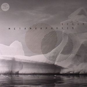 Metamorphosis