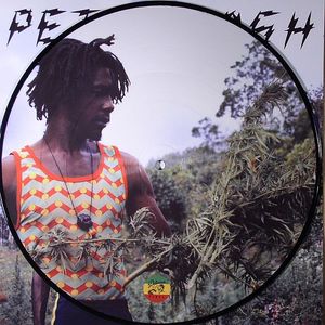 Legalize It