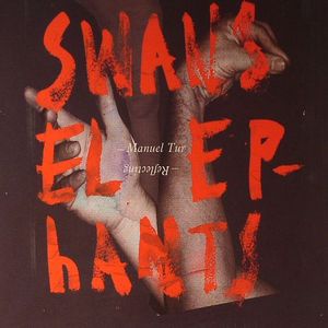 Swans Reflecting Elephants