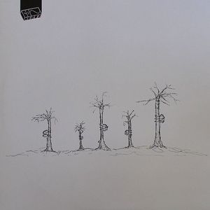 Zweiter Fruhling