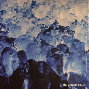 Memory Fields