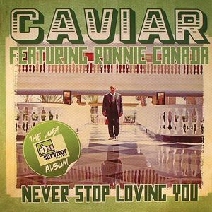 Never Stop Loving You