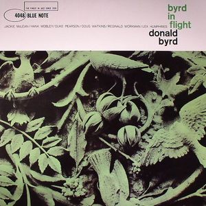Byrd In Flight