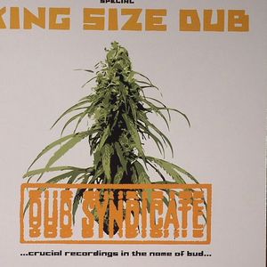 Dub Syndicate: Crucial Recordings In The Name Of Bud