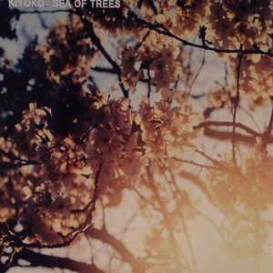 Sea Of Trees