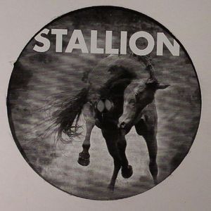 Stallion