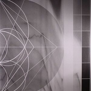 Assimilating The Shadow