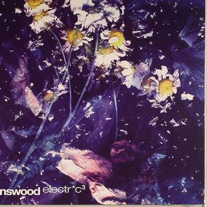 Brownswood Electric 3