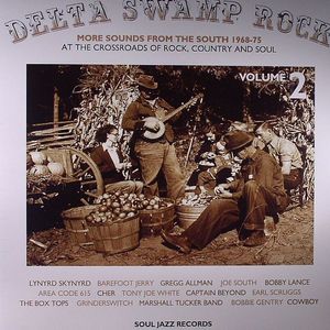 Delta Swamp Rock: More Sounds From The South 1968-75 Vol 2