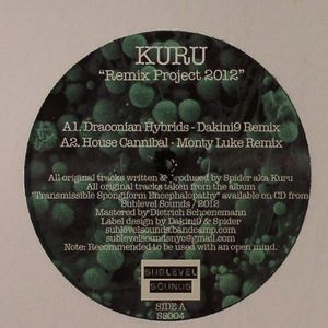 Remix Project 2012