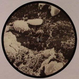 BLOOD 001