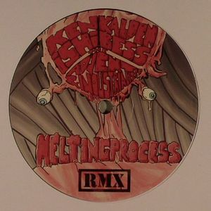 Melting Process (remixes)