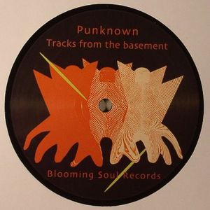 Tracks From The Basement