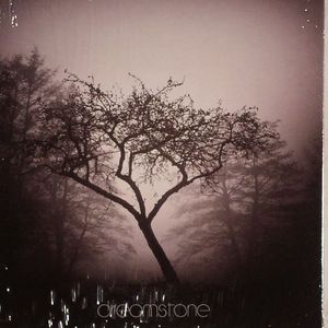 Dreamstone