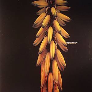 Precursors EP