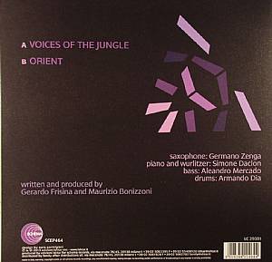 FRISINA, Gerardo/MAURIZIO BONIZZONI - Voices Of The Jungle