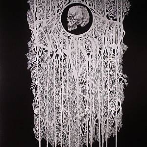 Skal & Bones