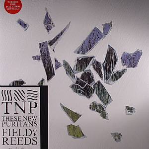 Field Of Reeds