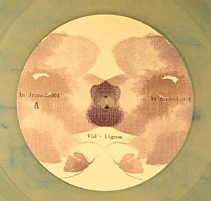 Lignum