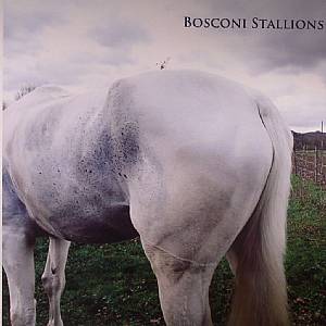 VARIOUS - Bosconi Stallions