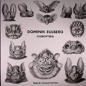 Chiroptera