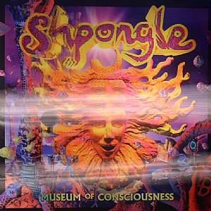 Museum Of Consciousness
