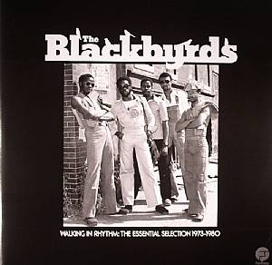 Walking In Rhythm: The Essential Selection 1973-1980