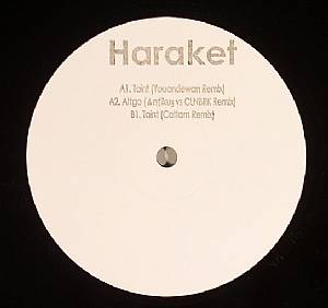 Taint (remixes)