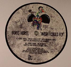 Wish I Could Fly