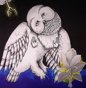 Magnolia Electric Co (10th Anniversary Deluxe Edition)