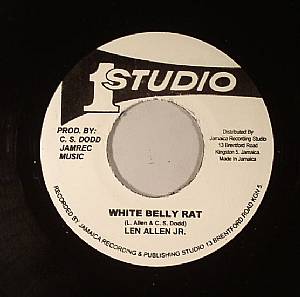 White Belly Rat