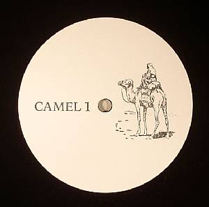 Camel 1