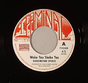 Wake You Shake You