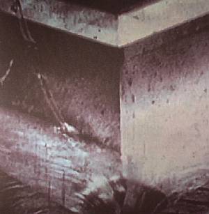 Sewer Birth
