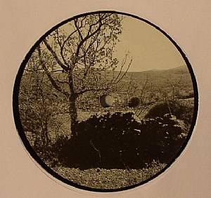 Fields & Forests 1