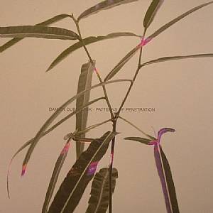Patterns Of Penetration