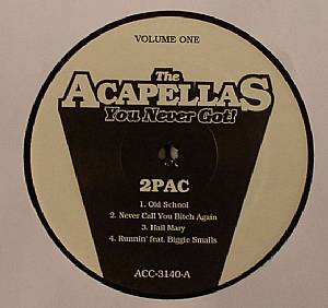 The Acapellas You Never Got! Volume One