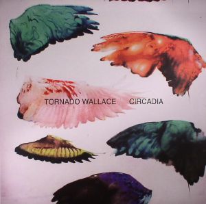 TORNADO WALLACE - Circadia