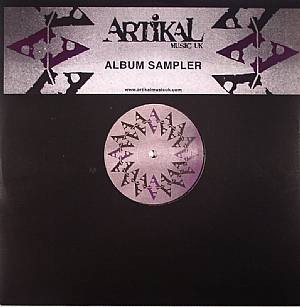 The Compilation: Vinyl Album Sampler 1