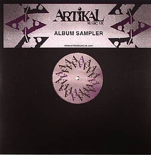 The Compilation: Vinyl Album Sampler 2