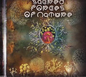 Sacred Forces Of Nature