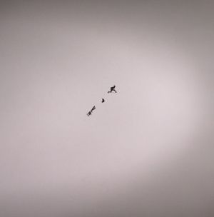 Ritual Objects 1